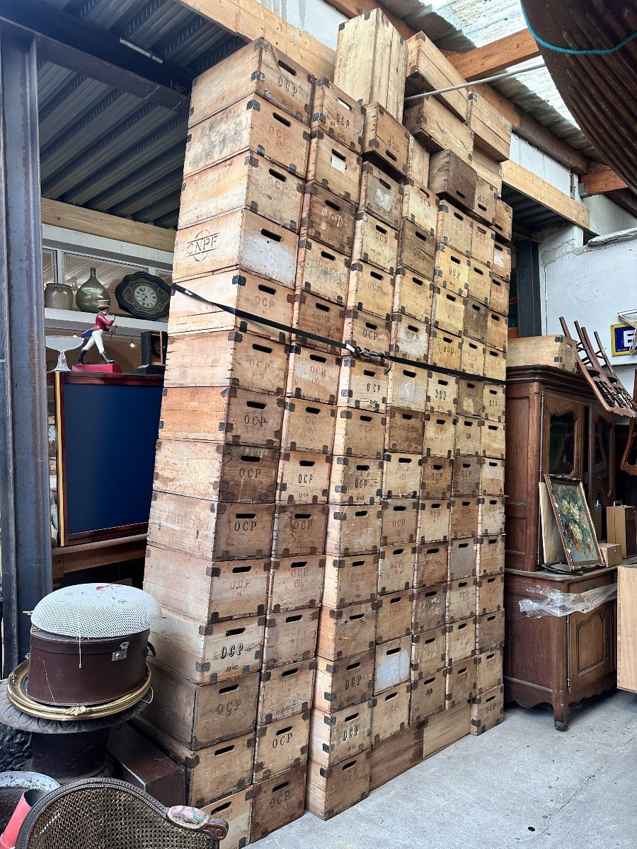 Important Lot De Caisses En Peuplier, Ocp (office Central Pharmacieutique)-photo-3