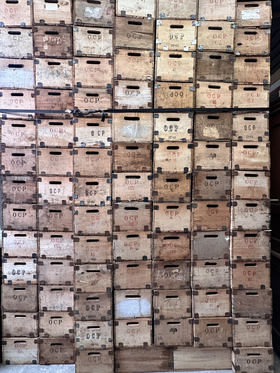 Important Lot De Caisses En Peuplier, Ocp (office Central Pharmacieutique)-photo-4