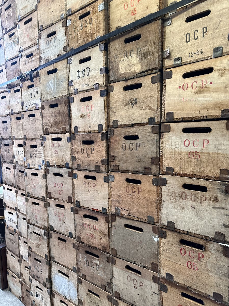 Important Lot De Caisses En Peuplier, Ocp (office Central Pharmacieutique)-photo-5