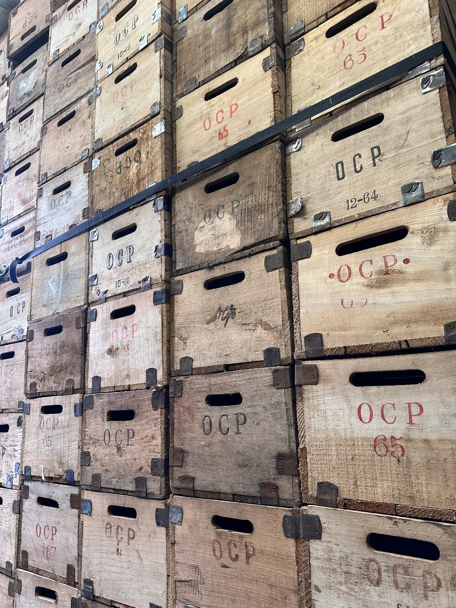 Important Lot De Caisses En Peuplier, Ocp (office Central Pharmacieutique)