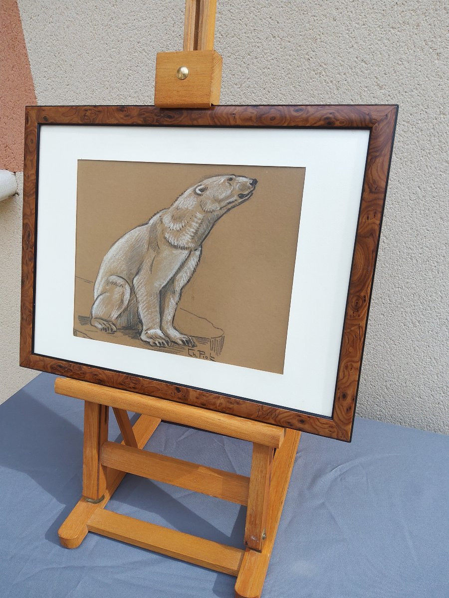 Dessin ours polaire Charles PIOT -photo-2