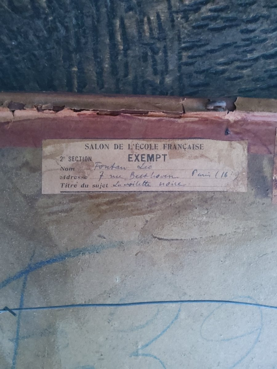 Pastel Fontan Leo-photo-1