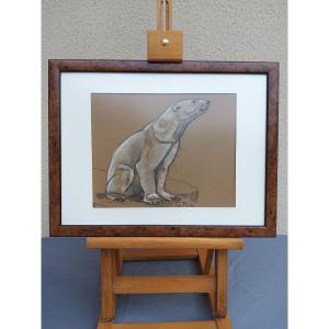 Dessin ours polaire Charles PIOT 