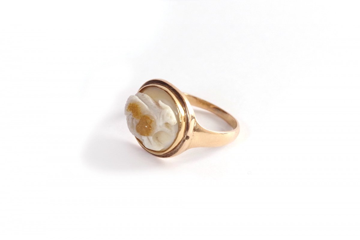 Antique Ram Cameo Ring In 14k Gold, Roman Cameo, Goat Cameo, Agate, Antique Jewelry-photo-2