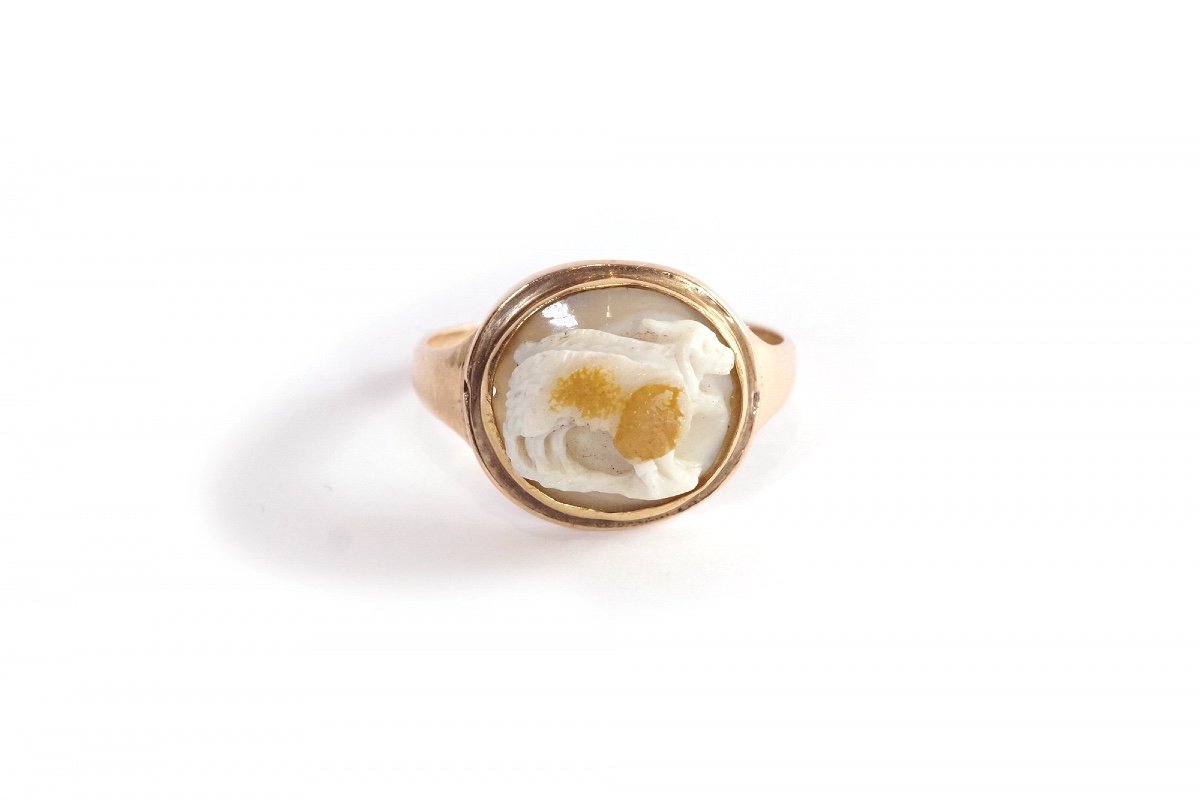 Antique Ram Cameo Ring In 14k Gold, Roman Cameo, Goat Cameo, Agate, Antique Jewelry-photo-5