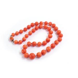 Collier Corail Ras De Cou Sur Fil De Soie, Fermoir En Or, Boite Cliquet, Collier Ancien, 1900 