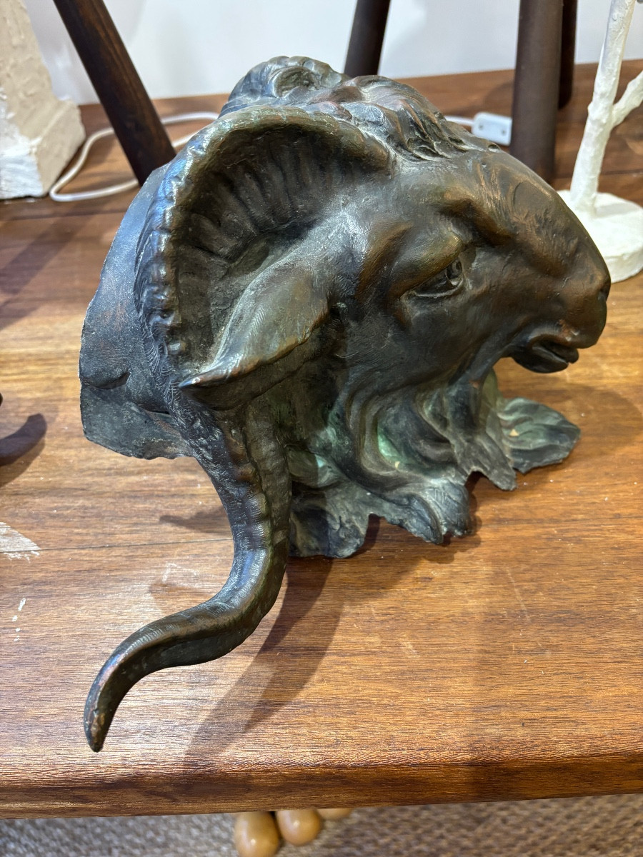 Late 19th Century Lead Ram Head-photo-2