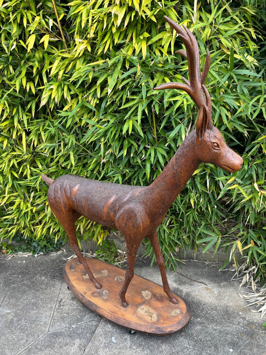 Chevreuil . Sculpture en bois milieu xx eme. 