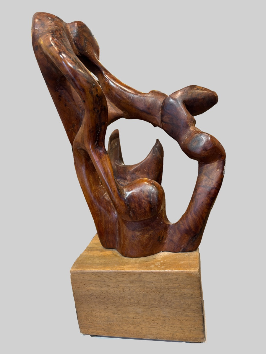 Free-form Wood Sculpture Mid-20th Century-photo-4