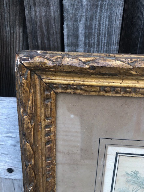 Aquarelle 18 ème  cadre bois doré d'époque-photo-5