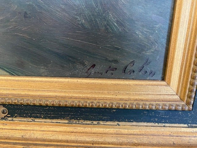 Gustave Colin , vue des Pyrénées, 1896-photo-4