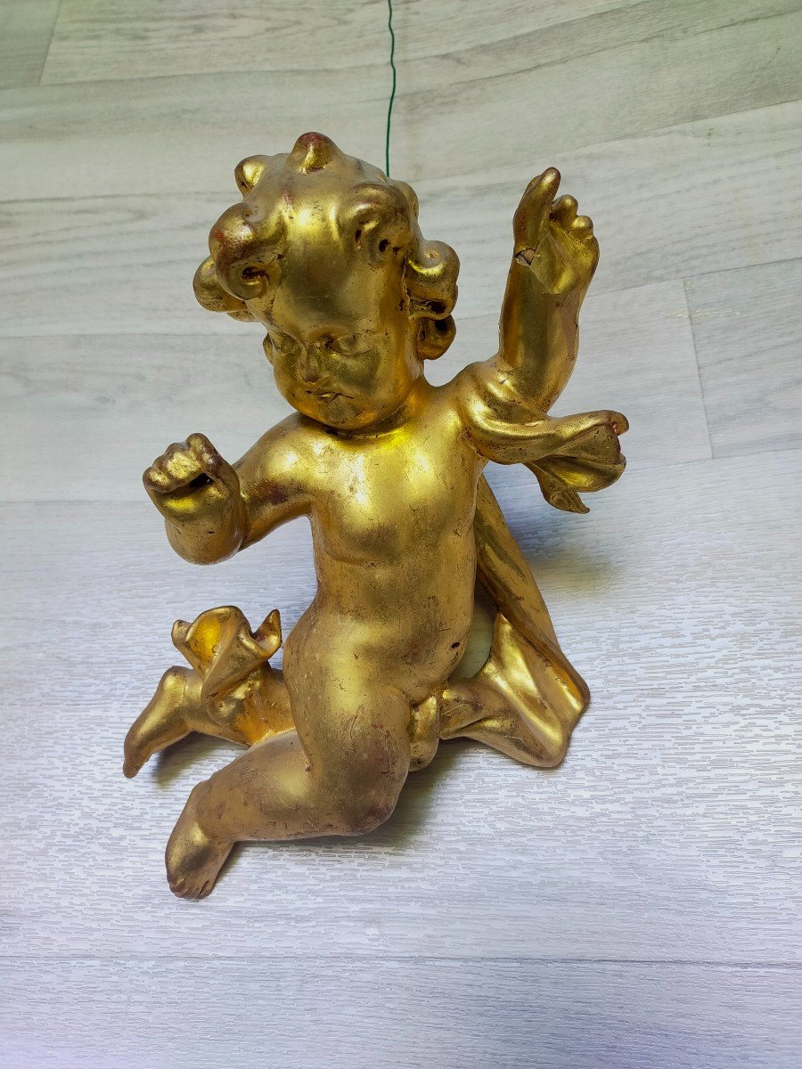 Angel In Golden Wood (putti, Putto Angelot)