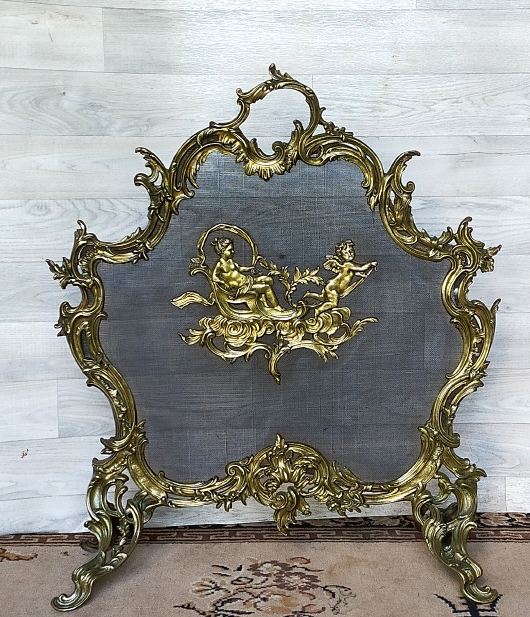 Fire Screen Fireplace Screen In Bronze Stamped Charles Casier 