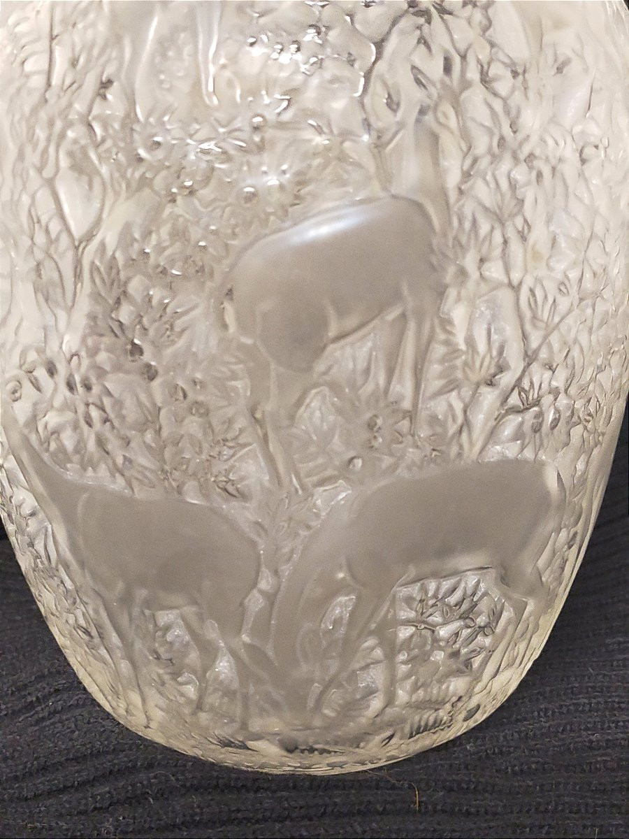 "does" Vase In Pressed Molded Glass – Lalique, Art Deco-photo-4