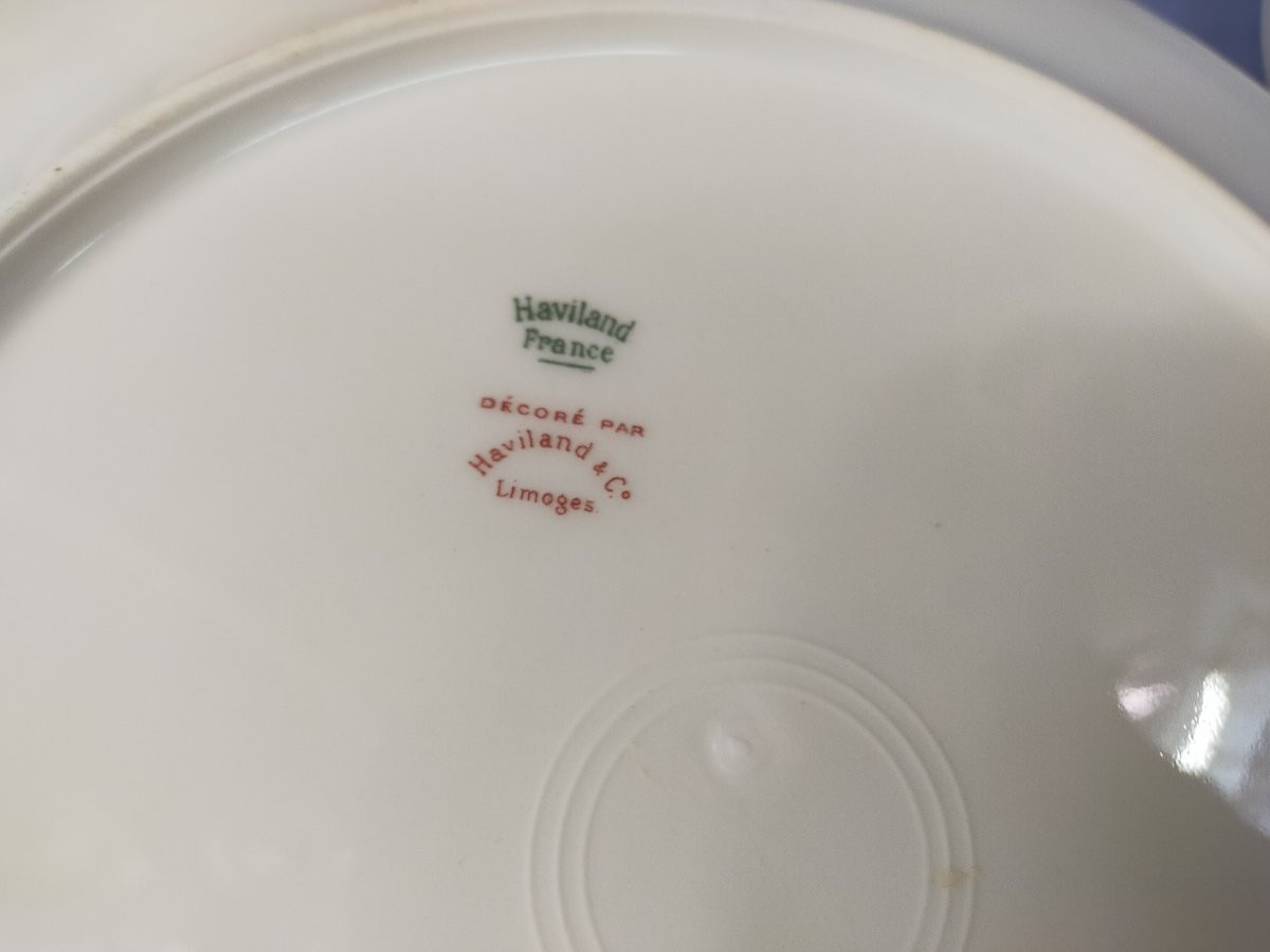 Haviland Limoges Porcelain Dinner Service With Chinese Asian Decoration -photo-4