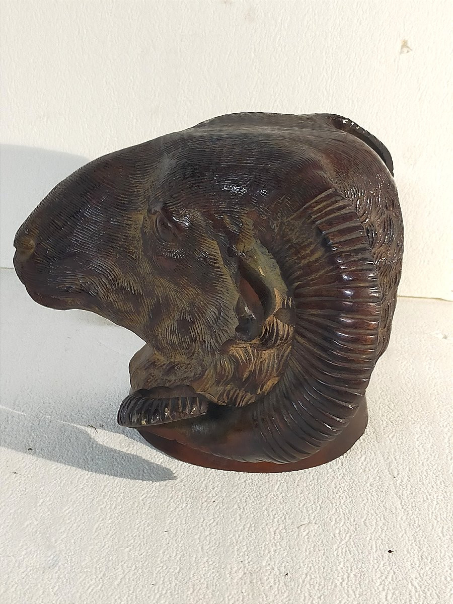 19th Century Bronze Ram's Head-photo-2