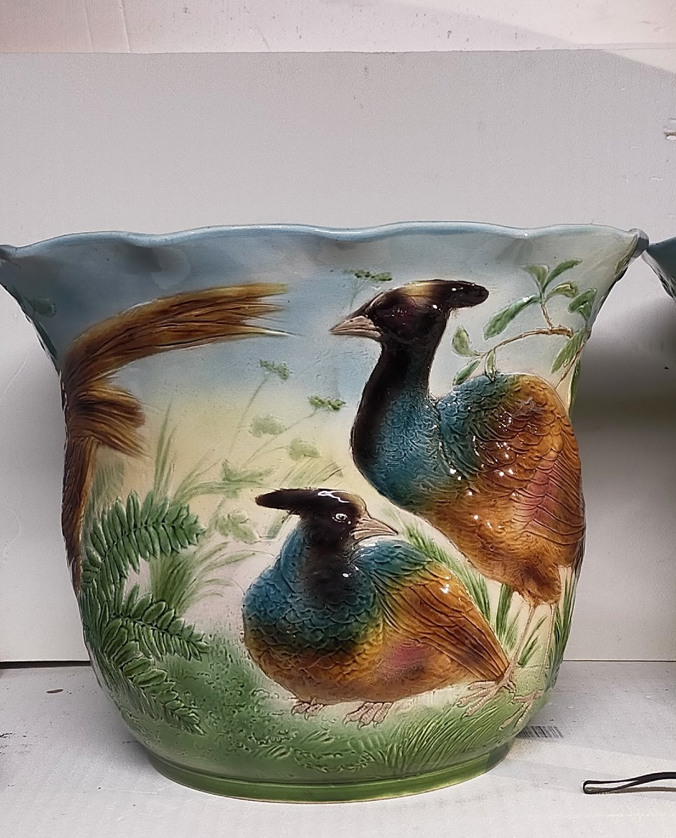 Paire  de jardinières 50cm cache pots Sarreguemines majolica aux faisans -photo-2