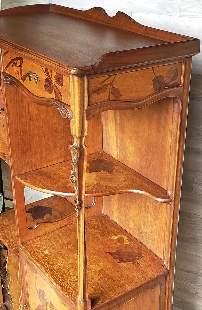 Louis Majorelle meuble de pr&eacute;sentation collectionneur Art Nouveau -photo-5