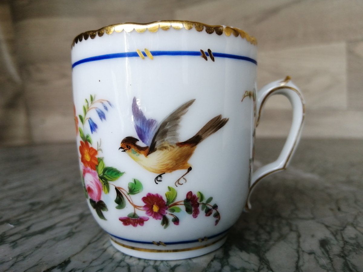 Porcelain Coffee Cup Service Decor Parrots And Butterflies (sèvres Paris)-photo-6