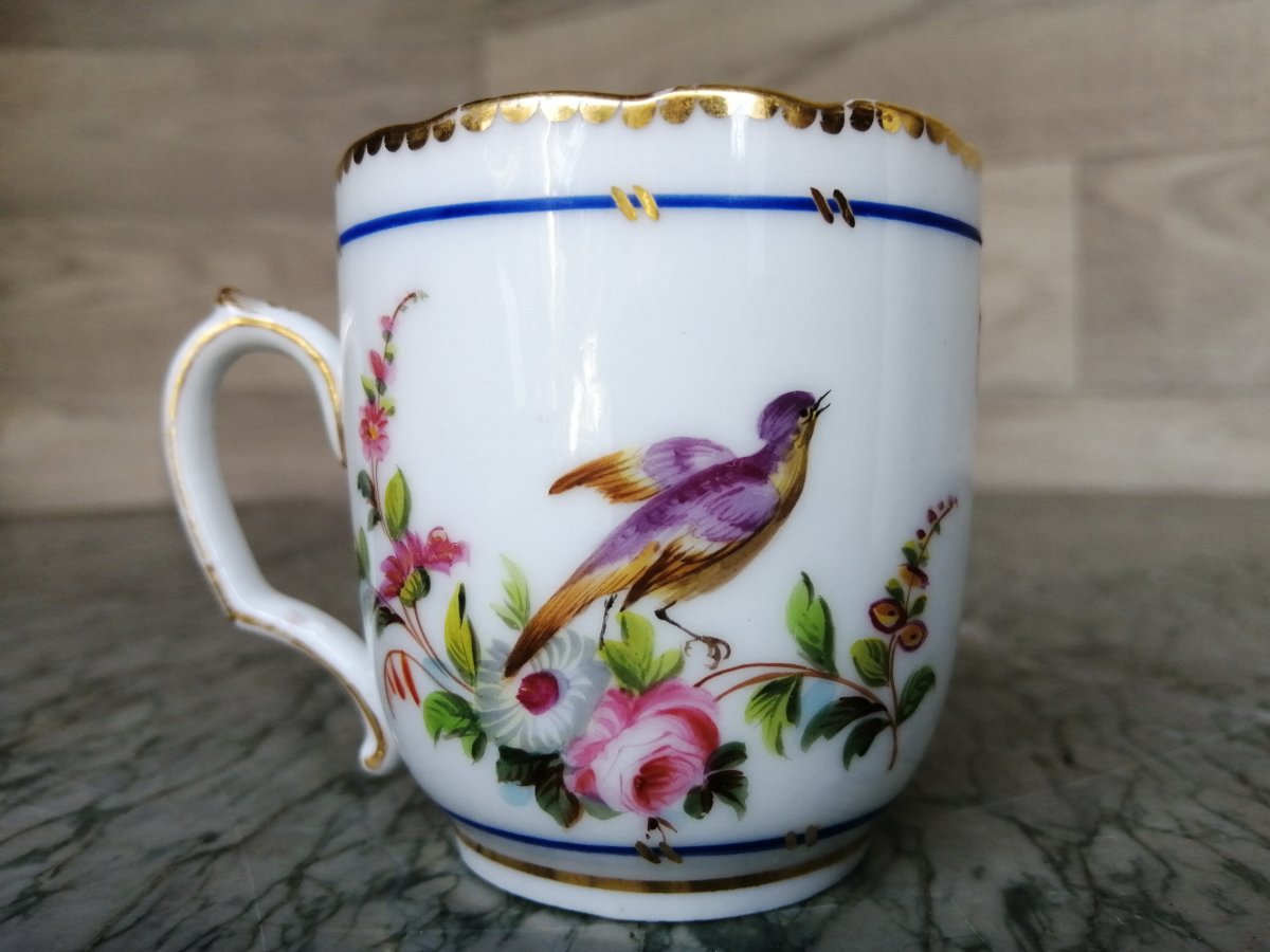 Porcelain Coffee Cup Service Decor Parrots And Butterflies (sèvres Paris)-photo-7