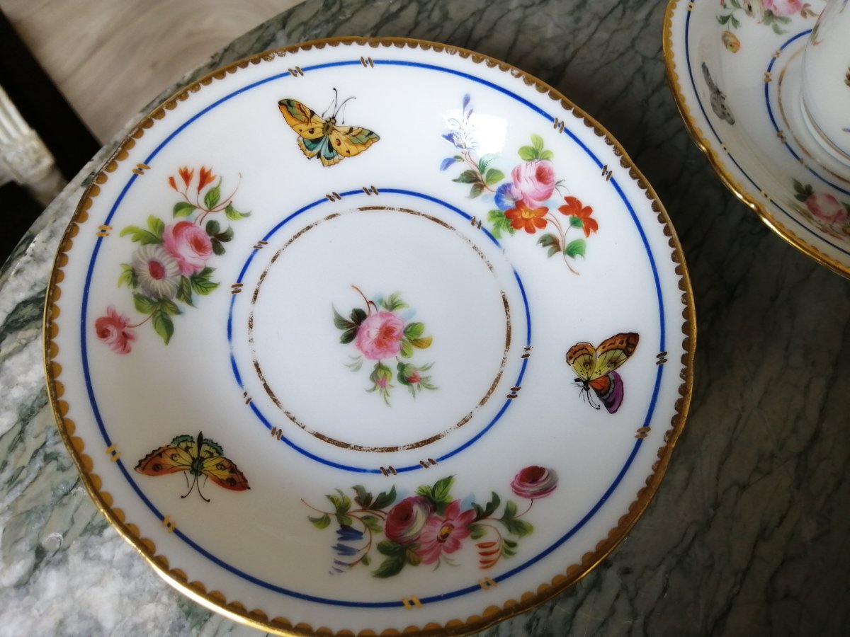 Porcelain Coffee Cup Service Decor Parrots And Butterflies (sèvres Paris)-photo-8