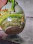1251035-alb-6581c8416db3b.jpg