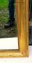 1313129-660edf3e9c667.jpg