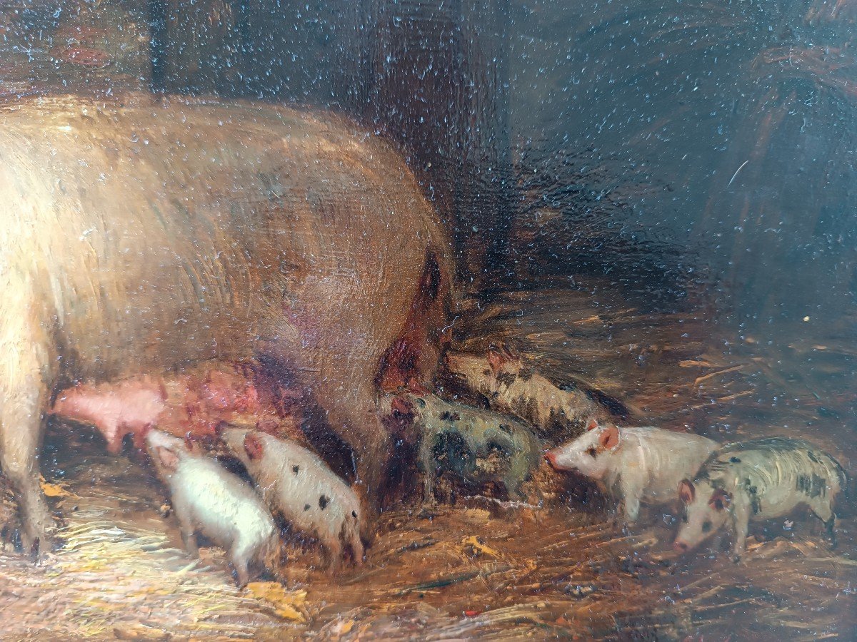 19th Century French School ''mother Pig And Piglets''-photo-1