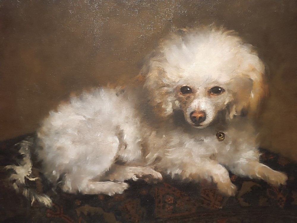 French School, Early 19th Century, Portrait Of Dog "poodle" (circa 1830)