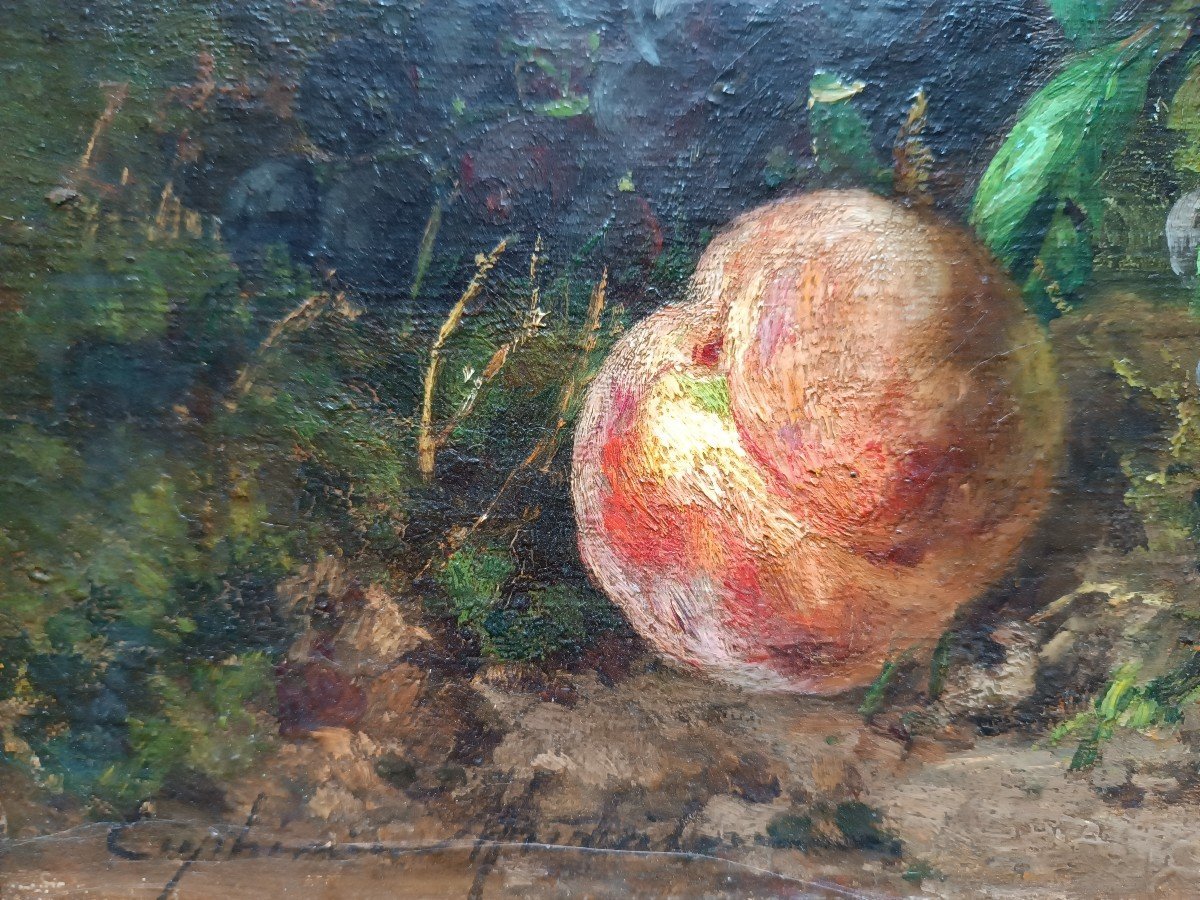 Euphémie Muraton (1840-1914) ‘’Nature morte aux raisins, pêches et prunes’’-photo-3