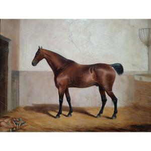 Portrait Of A Horse
