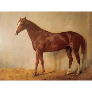 Portrait Of A Horse By édouard Lacretelle (1817-1900)    