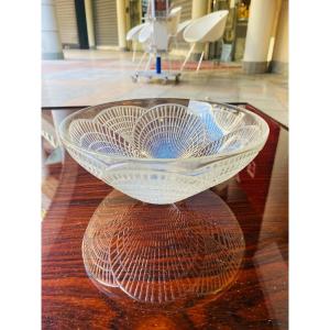 Coupe En Verre Lalique.