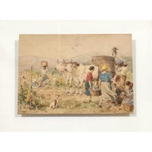 Achille Beltrame 'Les Vendanges' ca. 1926 pour Soc. Anonyme Grandine