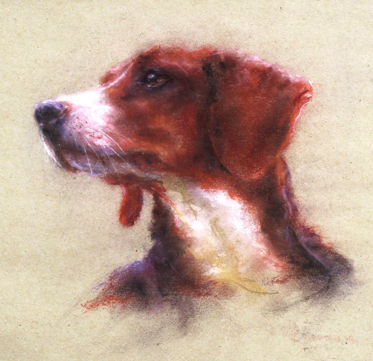 Hunting Dog Portrait Pastel On Paper By Catherine Dammeron (1976)-photo-2