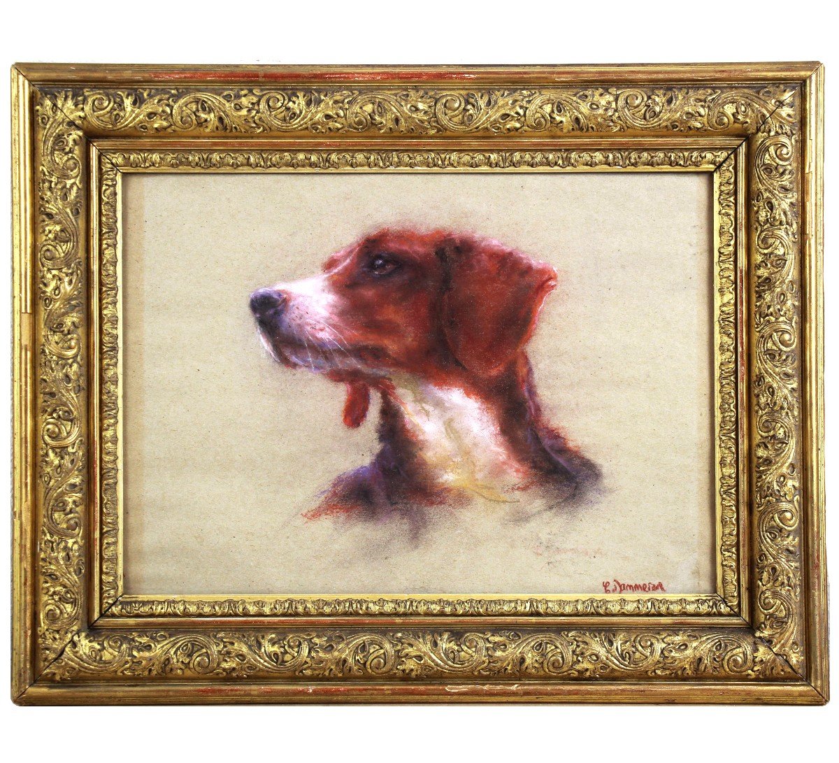 Hunting Dog Portrait Pastel On Paper By Catherine Dammeron (1976)