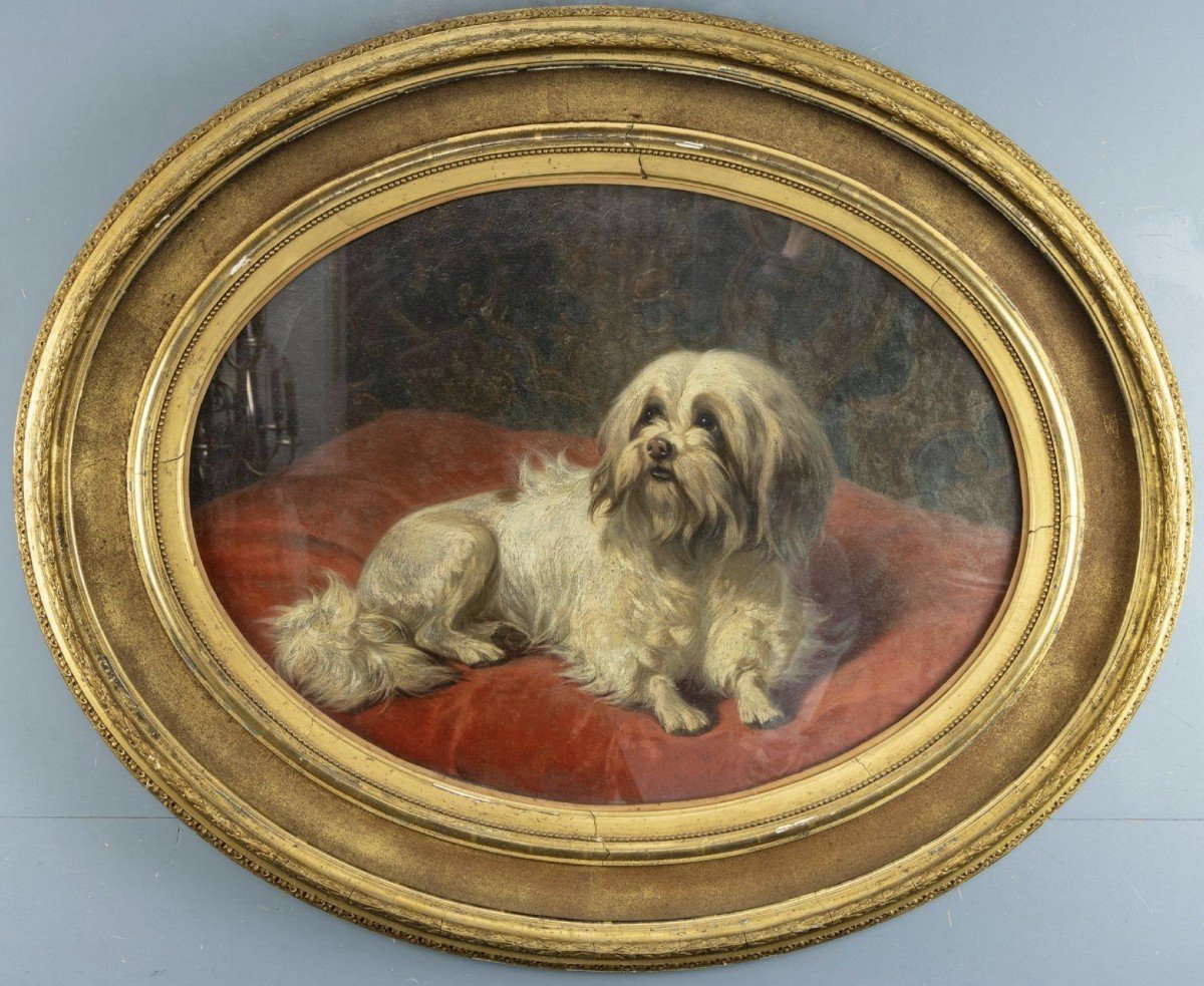 Huile Sur Panneau , Portrait De Chien Maltais Par Conradijn Cunaeus 19&egrave;me-photo-1