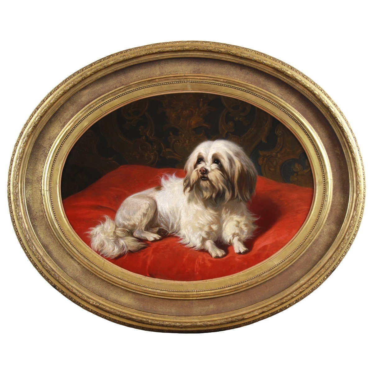 Huile Sur Panneau , Portrait De Chien Maltais Par Conradijn Cunaeus 19&egrave;me