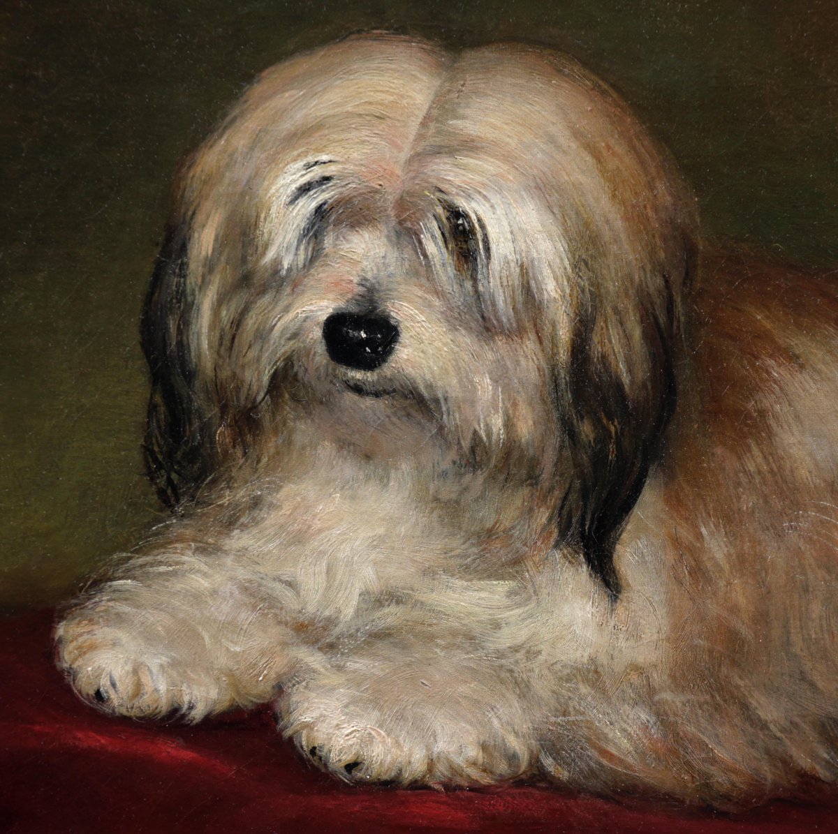 Oil Painting On Canvas Portrait Of A Dog British School Dog 19th-photo-2