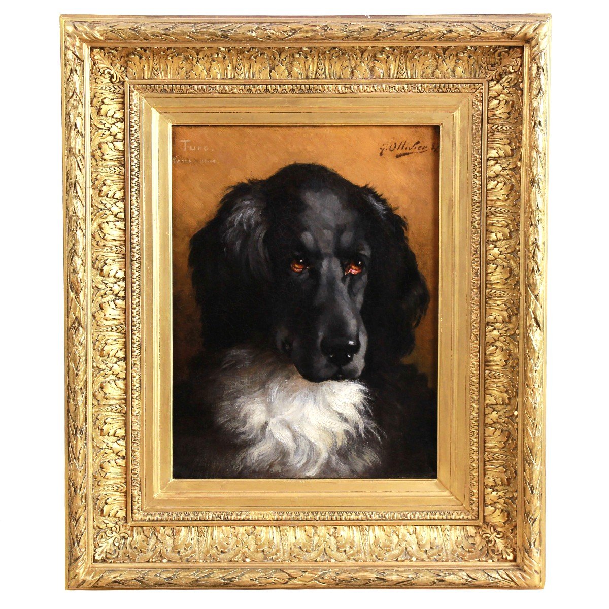 Portrait De Chien Terre Neuve Huile Sur Toile 1887