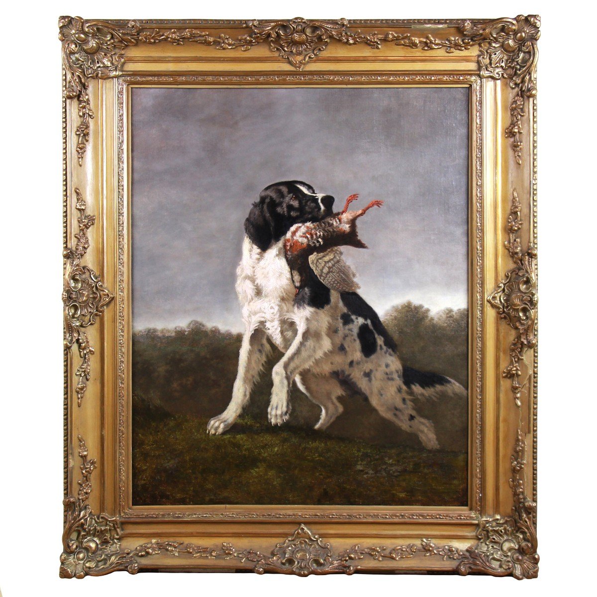 Huile Sur Toile Chien De Chasse Epagneul Avec Un Faisan Cadre