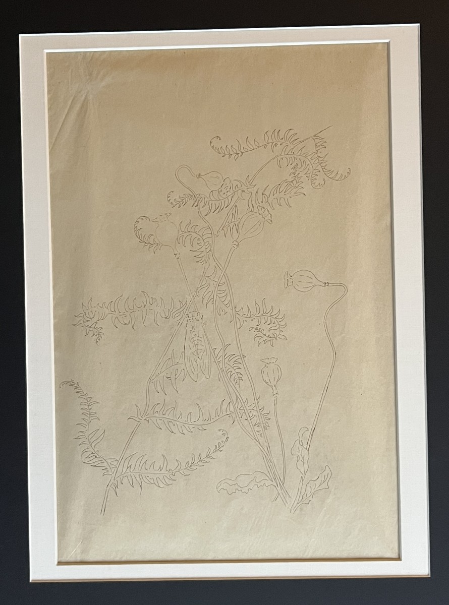 Emile GALLÉ - dessin original - Art Nouveau