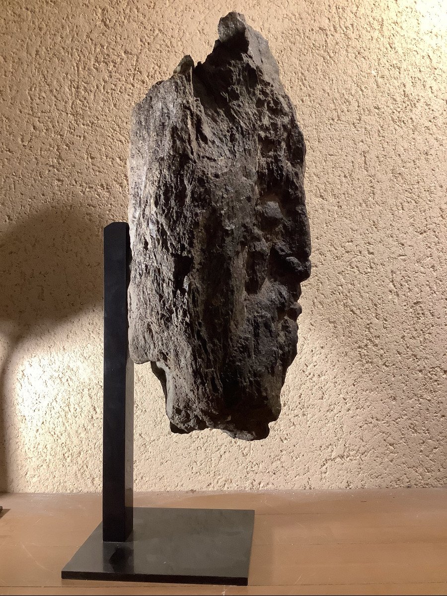 Head Of Christ In Fossilized Wood-photo-3