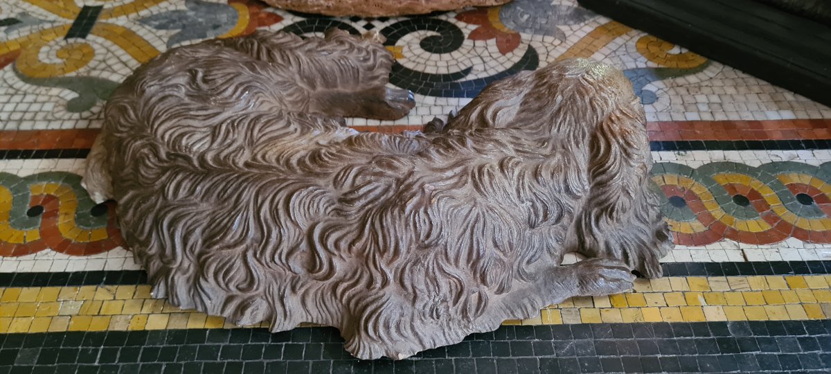 Dog Lying Down, "very Much Alive"-photo-3