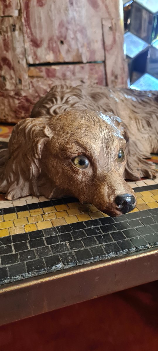 Dog Lying Down, "very Much Alive"-photo-3