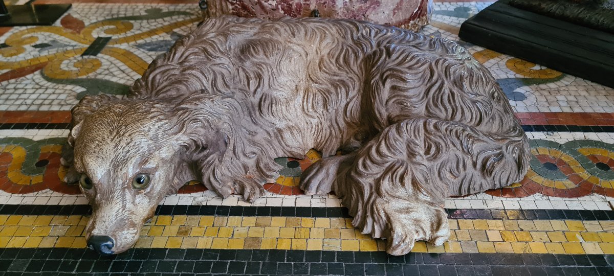 Dog Lying Down, "very Much Alive"
