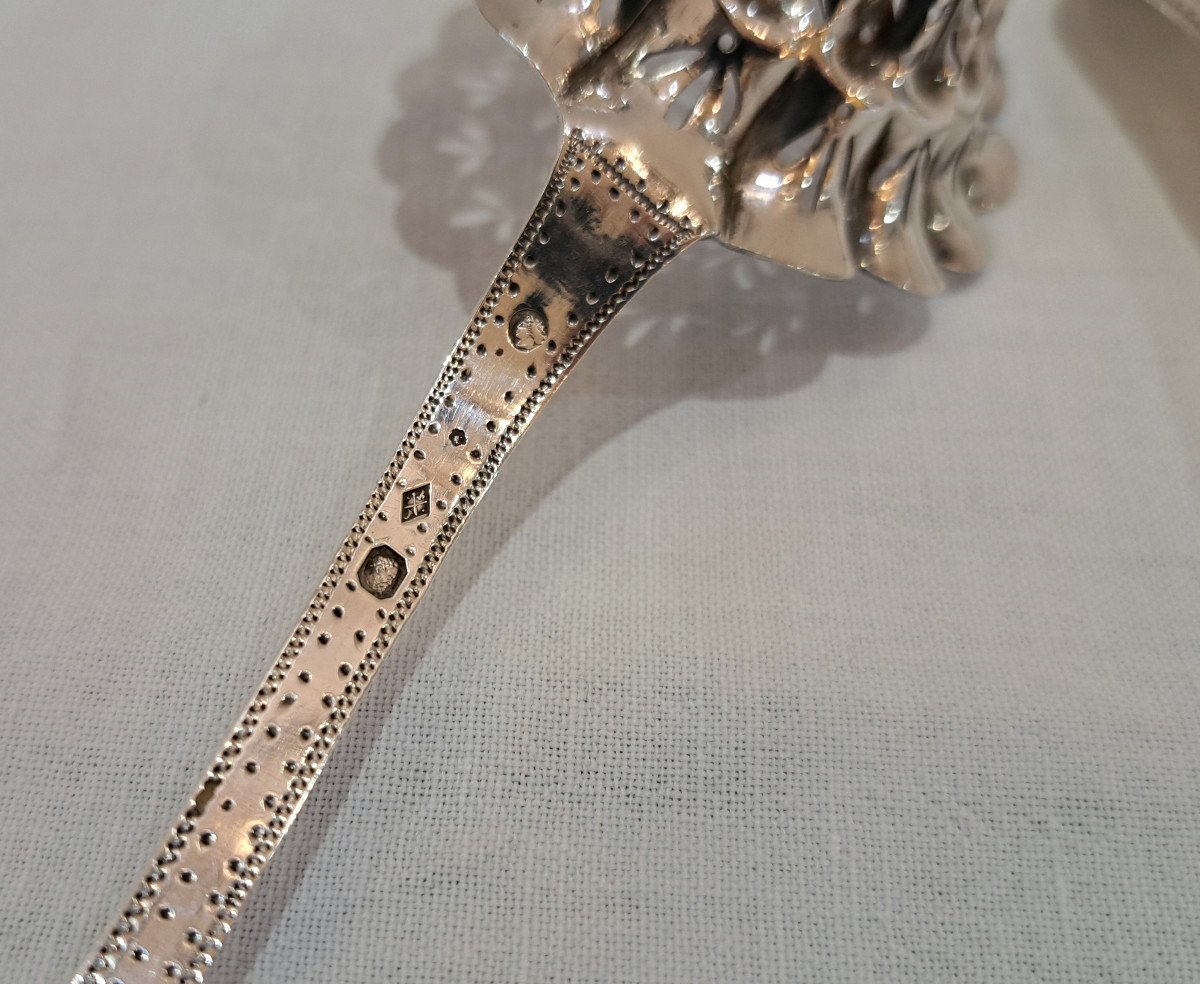 Pair Of Sprinkling Spoons In Sterling Silver Circa 1830-photo-7
