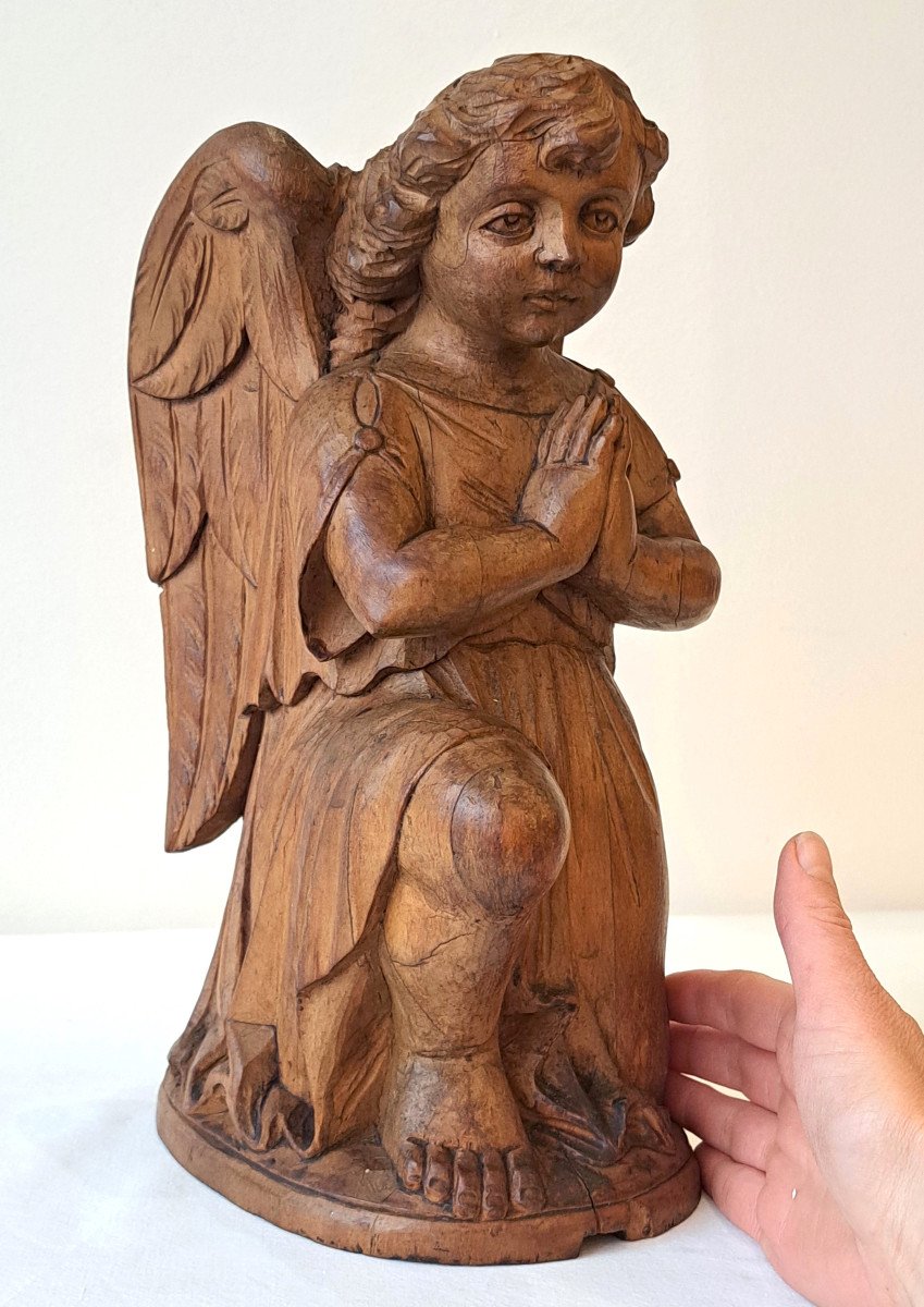 Angelot Putto Amour Chérubien Ange en prière En Bois Sculpté D’époque XIXème