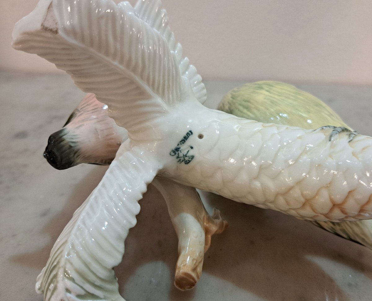 Couple De Bec-crois&eacute;s Des Sapins Oiseaux En Porcelaine Allemande Karl Ens-photo-4