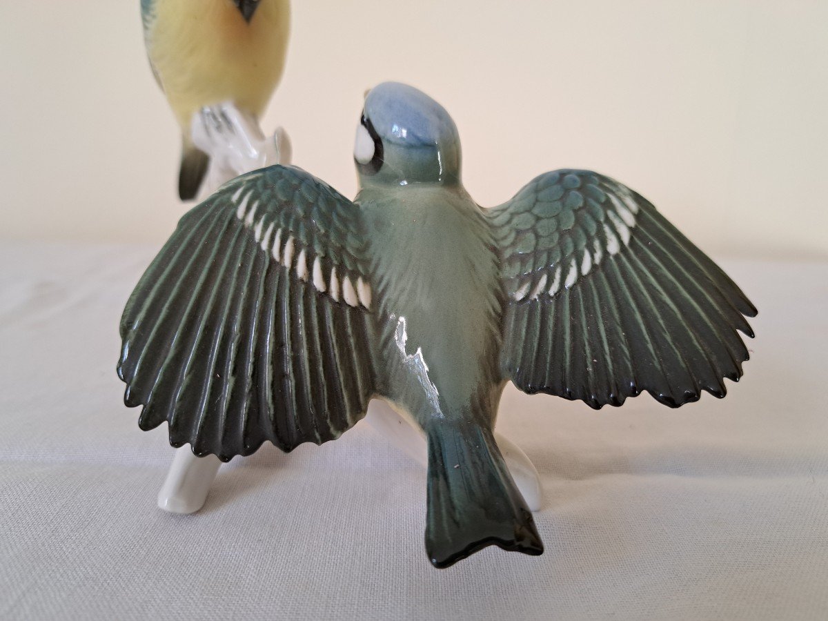 Couple De Mésanges Bleues En Porcelaine Allemande Karl Ens-photo-3